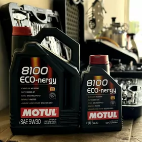 MOTUL 8100 ECO-nergy 5W30