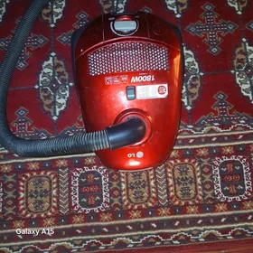 tozan sorjy