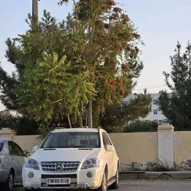 Mercedes-Benz ML350 2008