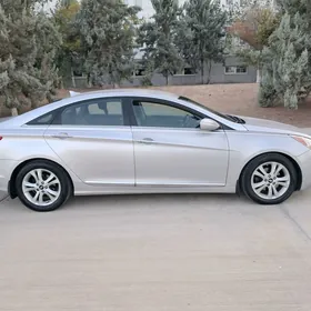 Hyundai Sonata 2010