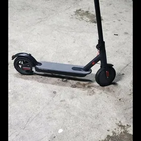 samokat skuter