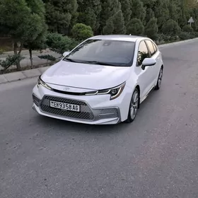 Toyota Corolla 2021