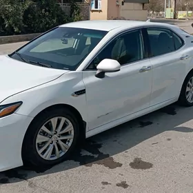 Toyota Camry 2023