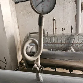 Onumcilik ucin bug gazany