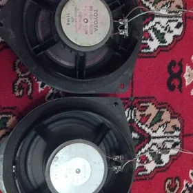 pioneer