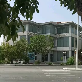 Женский Парихмахер