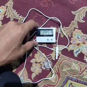 inkubator