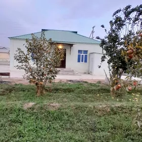 Satlyk jay hurmantgökje