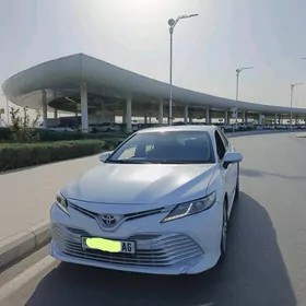 Toyota Camry 2019