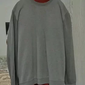 switr 2 XL