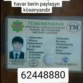 surujilik sahadatnama