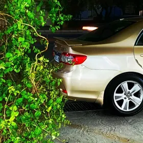 Toyota Corolla 2011