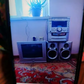 kıçı telewizor we sentr