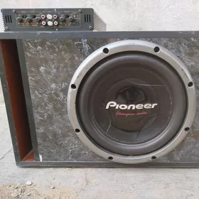 usulitel kolonka pioner