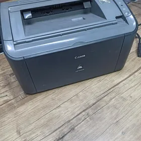 canon 2900