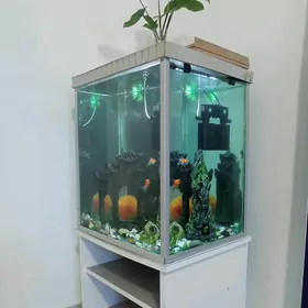 Akvarium