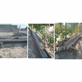 Agaclar   Nawlar
