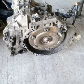 corolla koropka 5 fişka