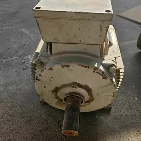 Elektrodwigatel 30kw