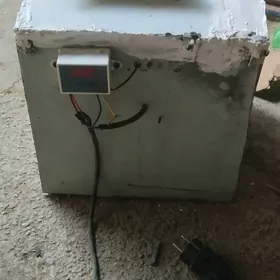 inkubator