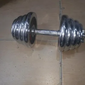 Gantel