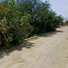 bäherden jaÿ satlik