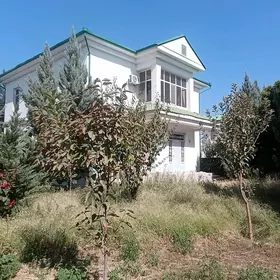 Taze zaman katez 5 kom