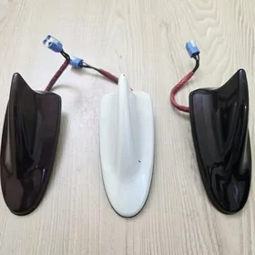 Akula Palta Aziyada Avalon