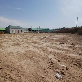 Anew Magtymguly 16sotuk