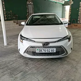 Toyota Corolla 2020