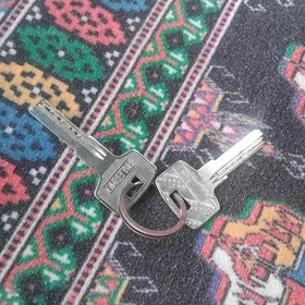 acar tapyldy
