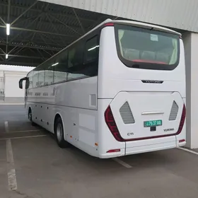 Toyota Coaster 2024