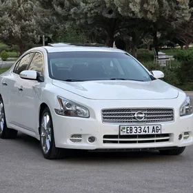 Nissan Maxima 2010