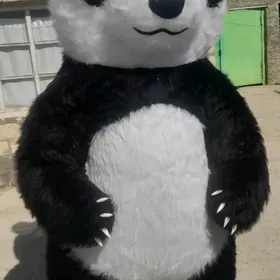 panda gara