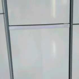 Holodinik