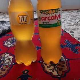Ary bal