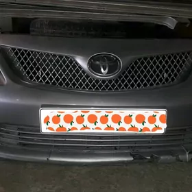 karolla 2011 bufer sneşka