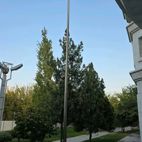 Flag ştok