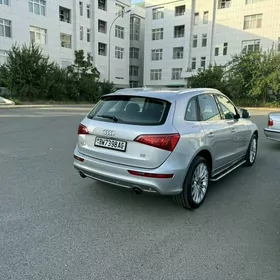 Audi Q5 2010