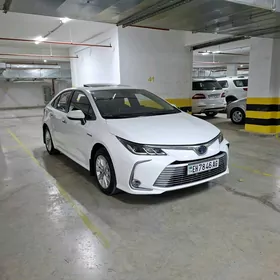 Toyota Corolla 2021