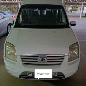 Ford Transit Connect 2010