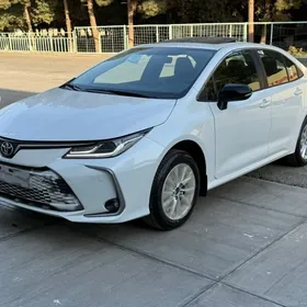 Toyota Corolla 2025
