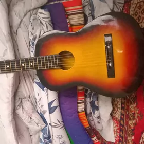 Akustik gitara