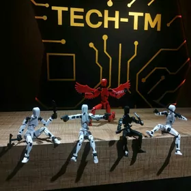 Человечек Т13 (сборный)