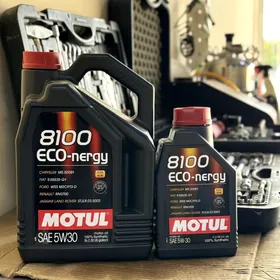 MOTUL 8100 ECO-nergy 5W30