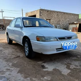 Toyota Corolla 1996