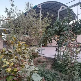 arenda jay kw teke bazar