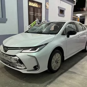 Toyota Corolla 2025