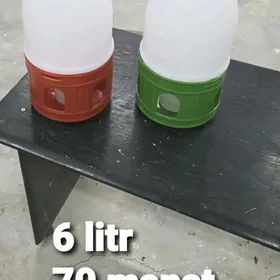 kepderi poyilka gnezdo