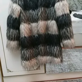 Şuba